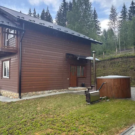 Chalet в обіймах карпат-шале 2 *
