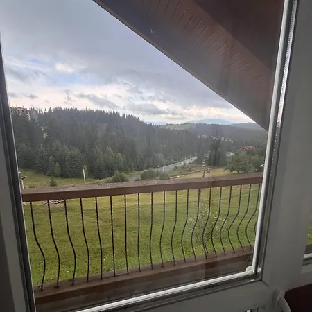 в обіймах карпат-шале 2 Chalet Yablunytsya